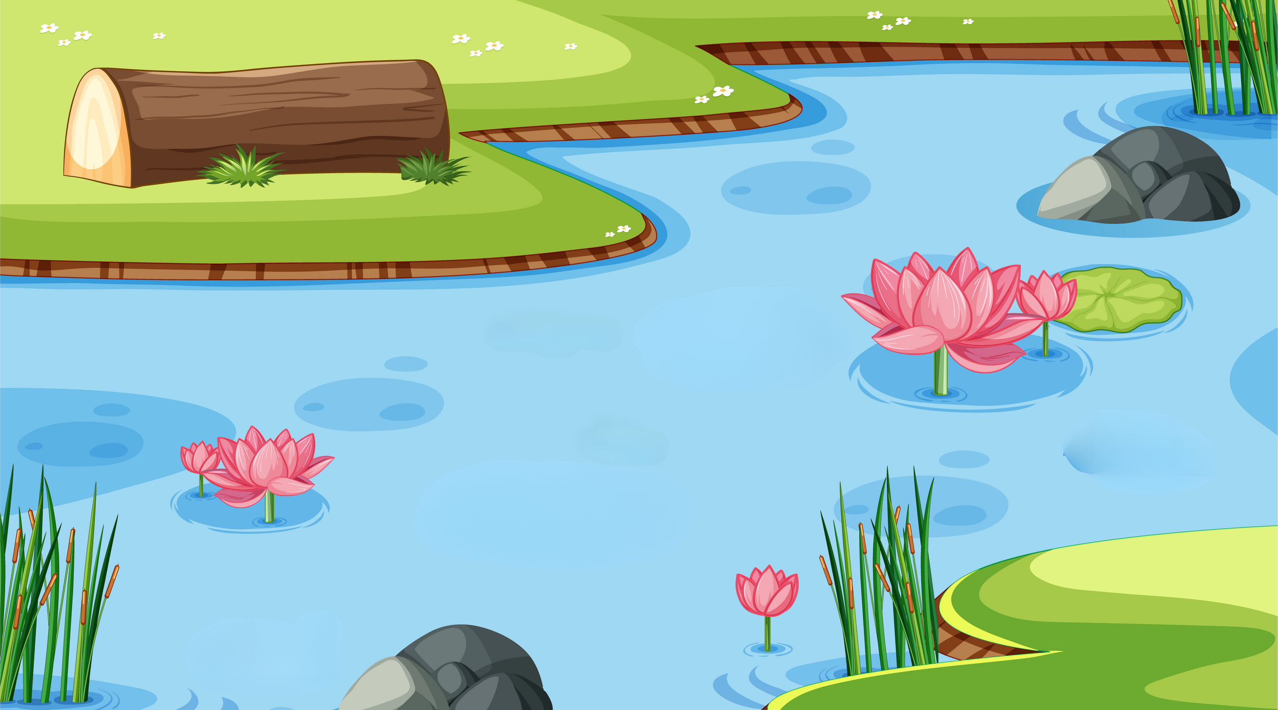 Nature Scene with Water Lily in the Pond