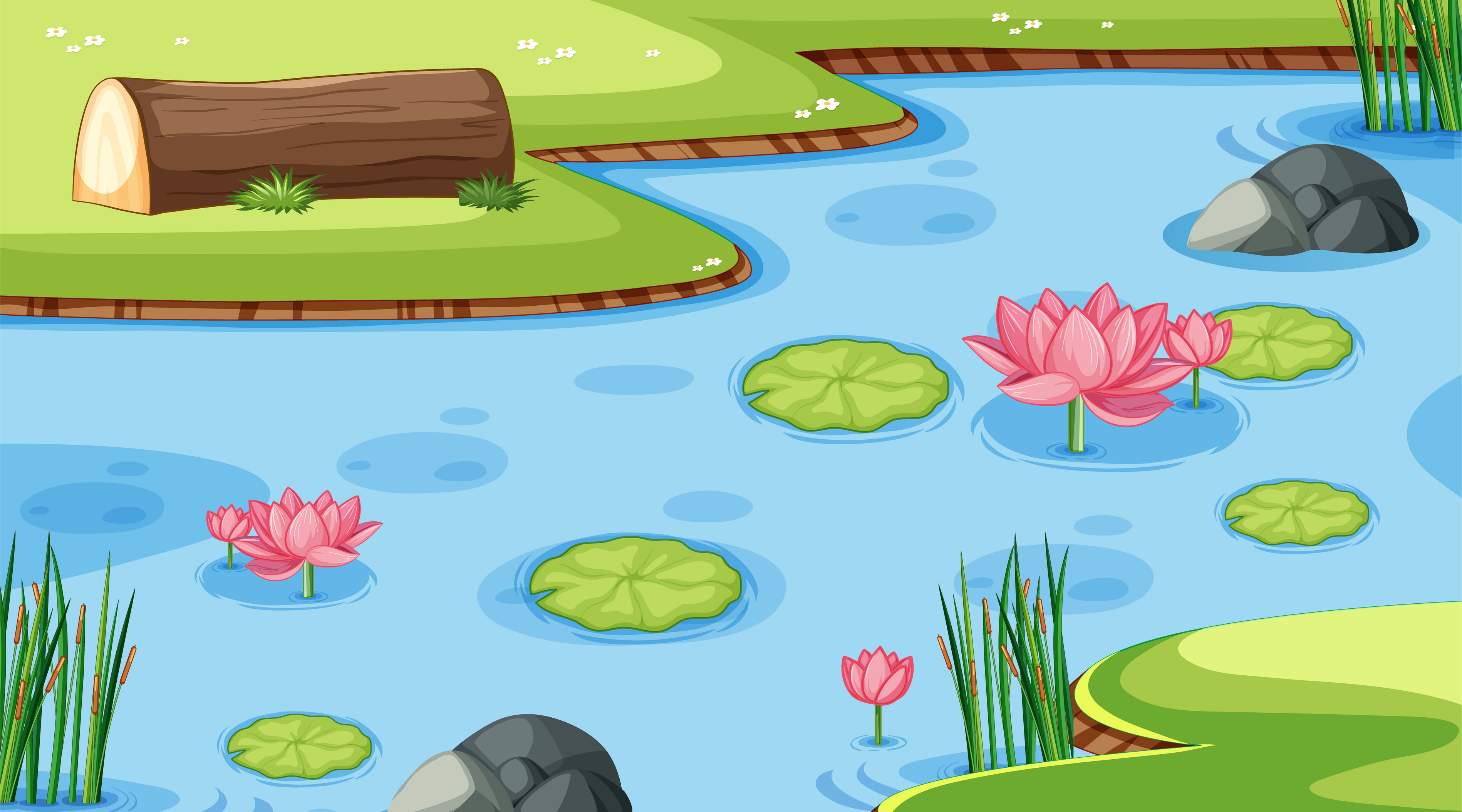 Nature Scene with Water Lily in the Pond